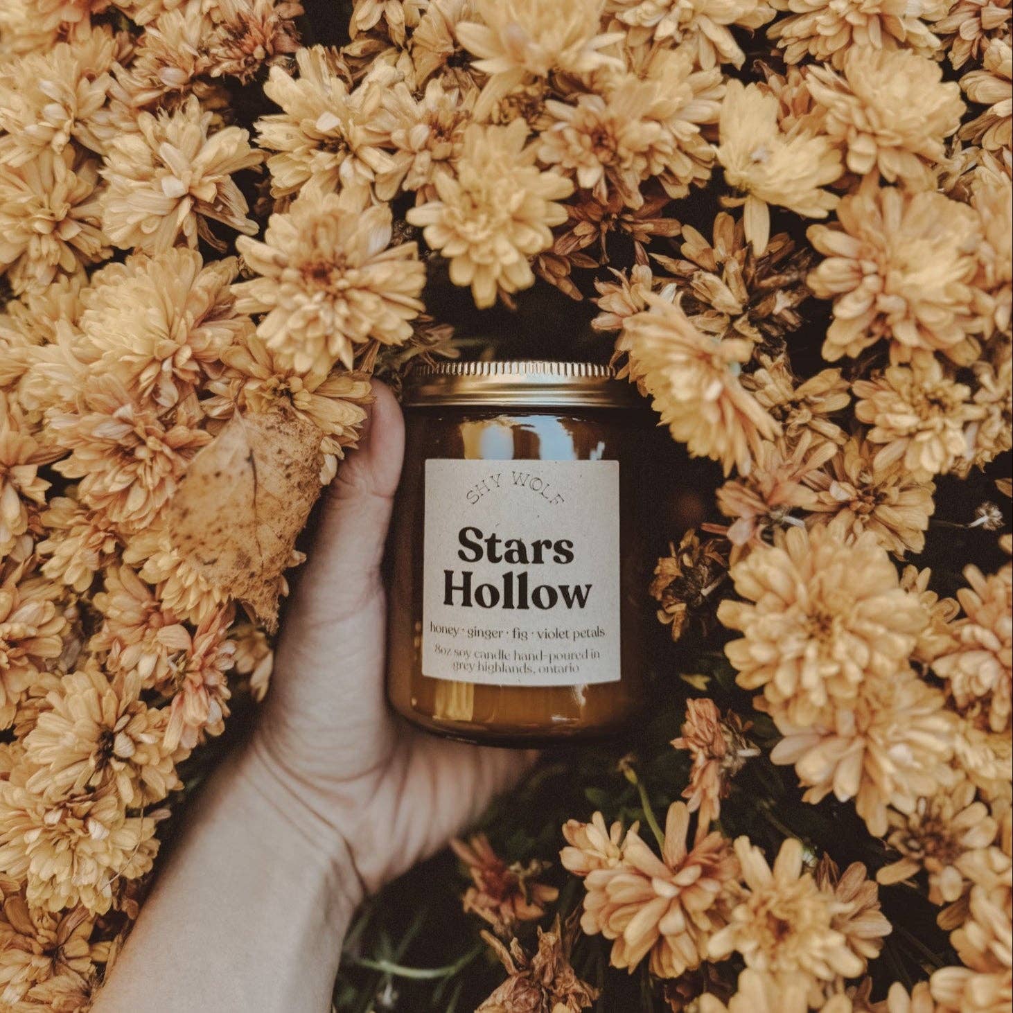 Stars Hollow - Shy Wolf Candle