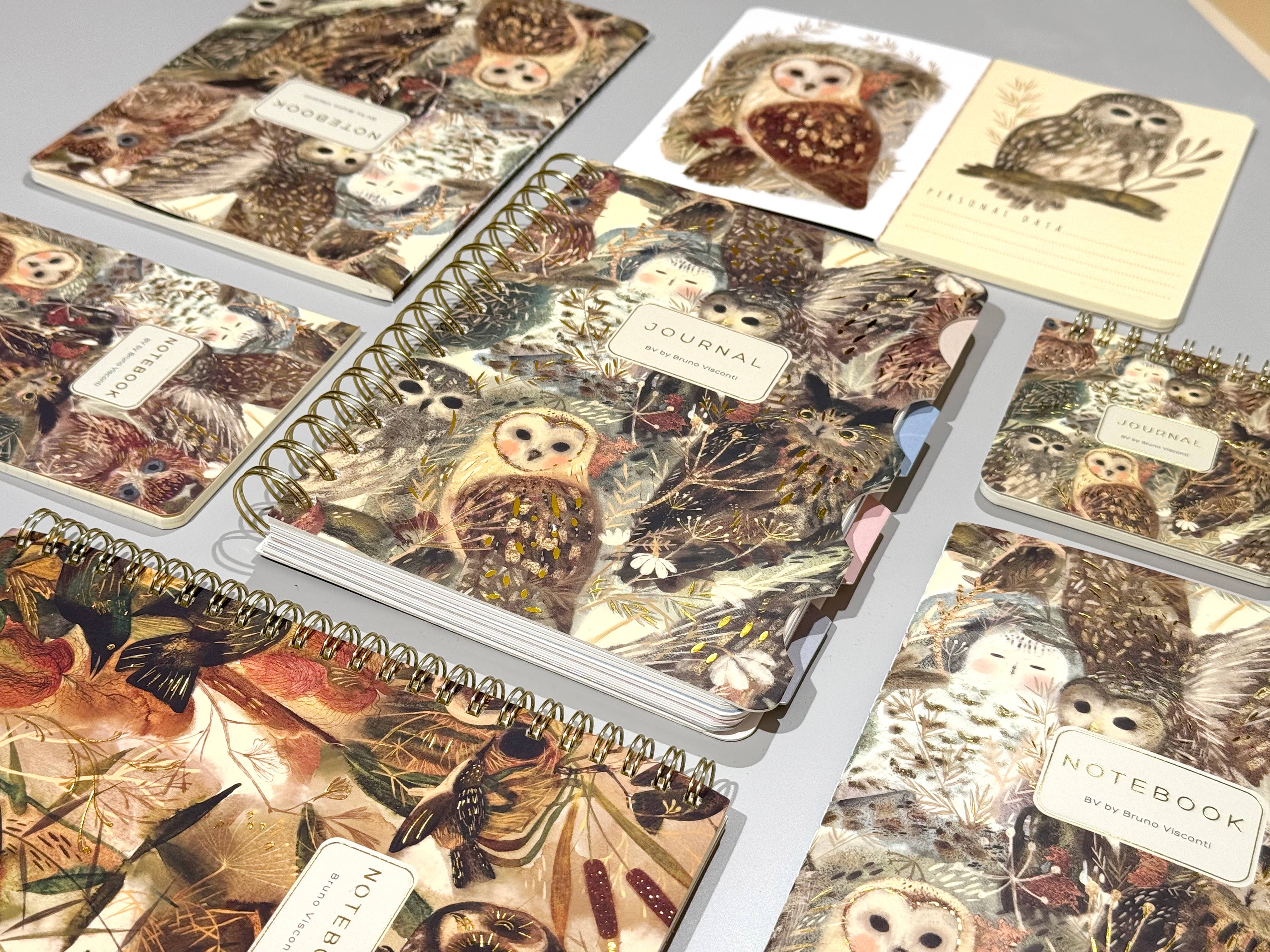 Art Journal   - Owls