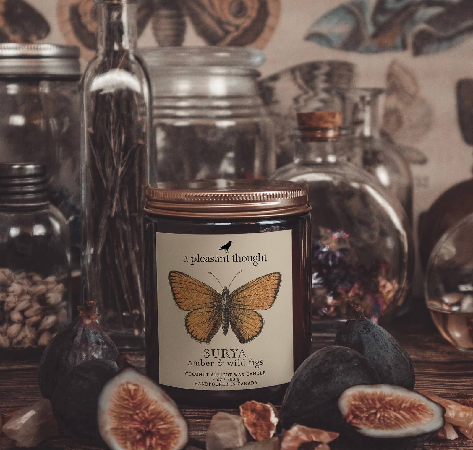 A Pleasant Thought - SURYA | AMBER & WILD FIGS | JAR CANDLE: Wood