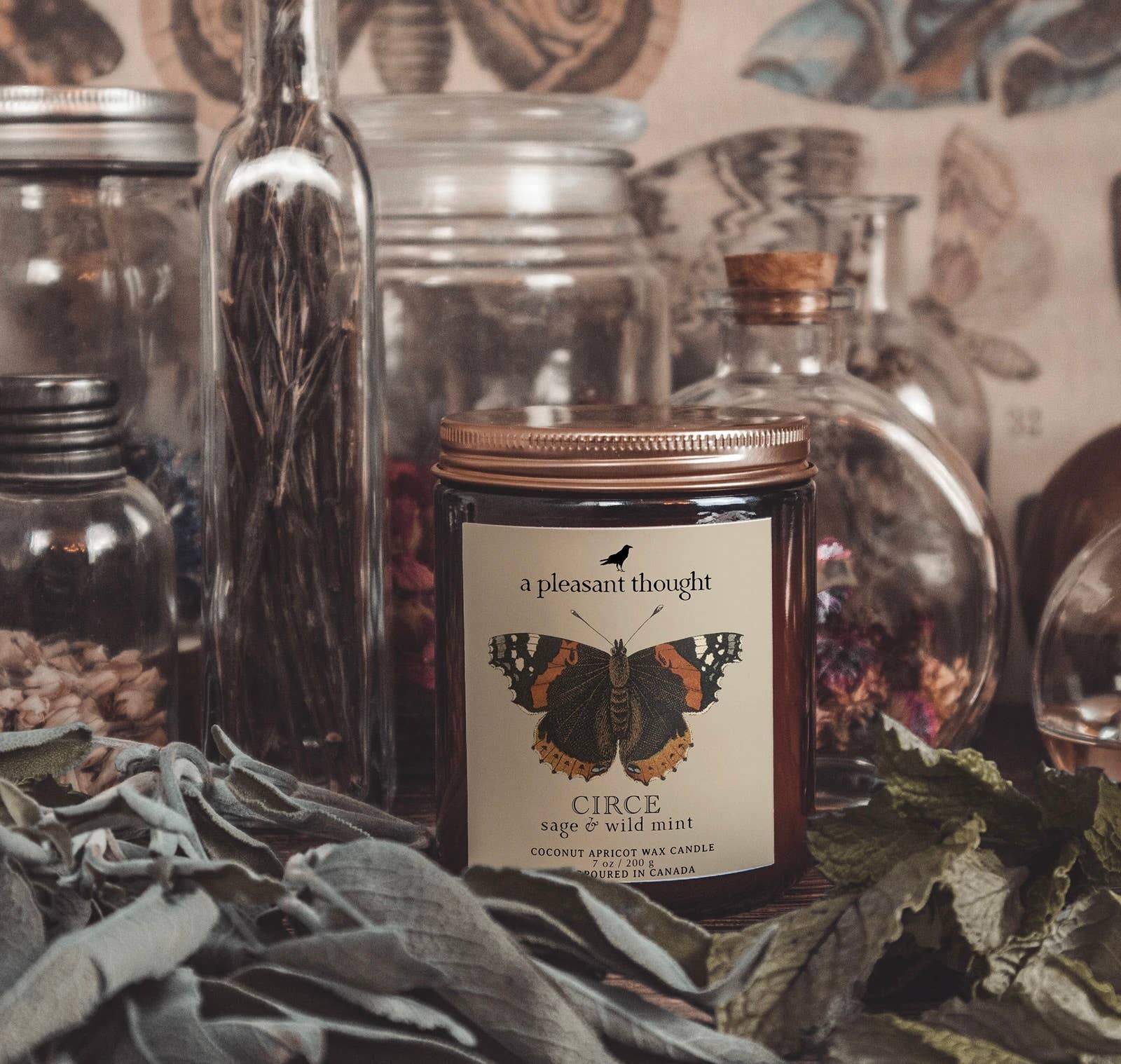 A Pleasant Thought - CIRCE | SAGE & WILD MINT | JAR CANDLE: Wood