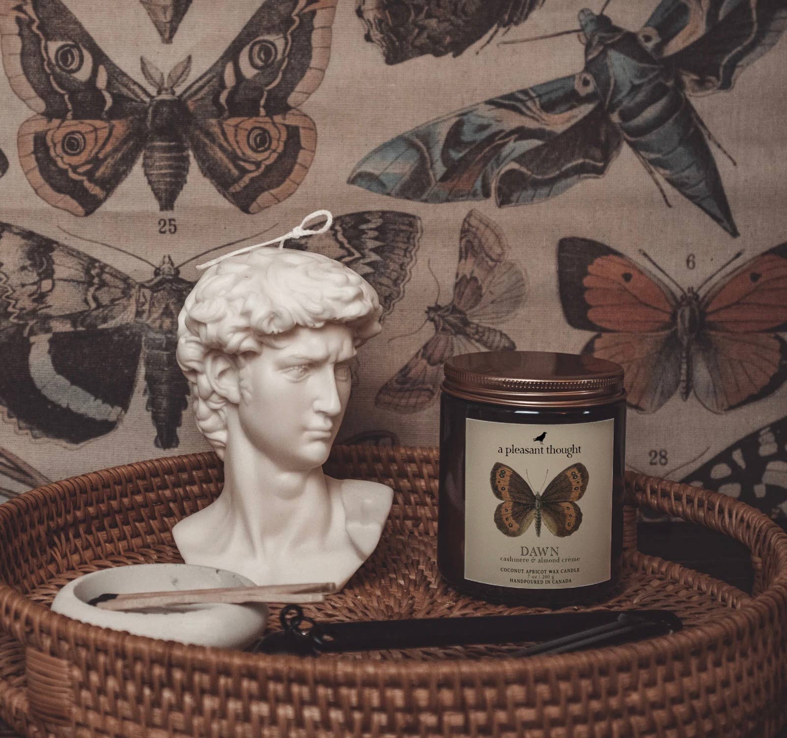 A Pleasant Thought - SURYA | AMBER & WILD FIGS | JAR CANDLE: Wood