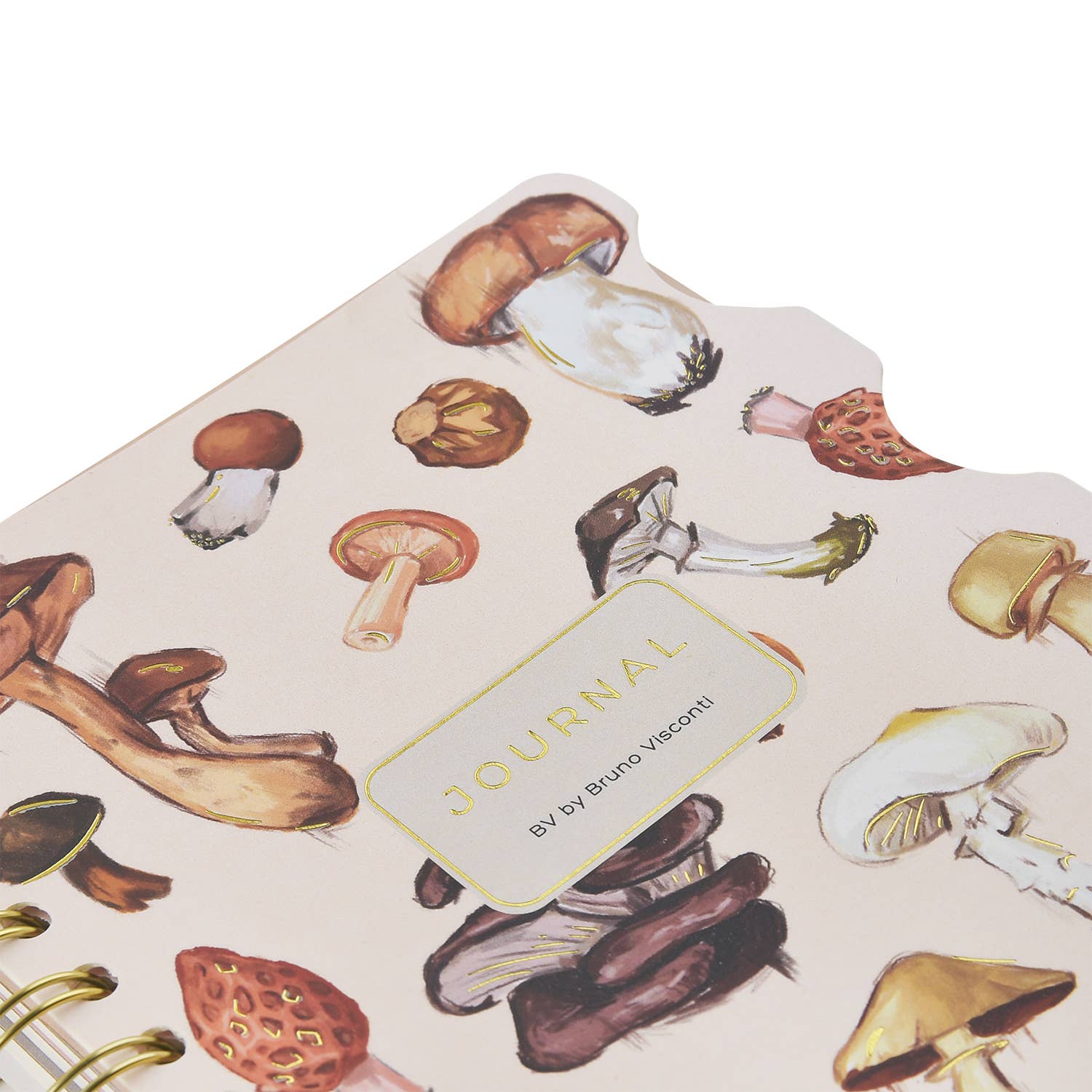 Art Journal   - Mushrooms on White