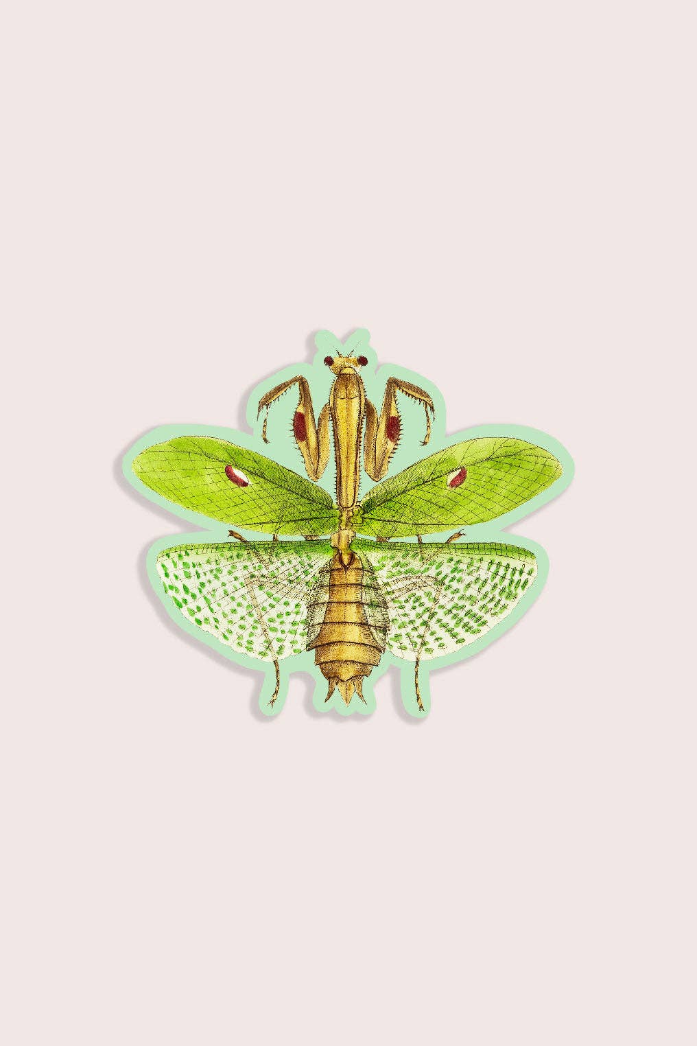 Meditative Mantis Sticker – Blossom and Tempest
