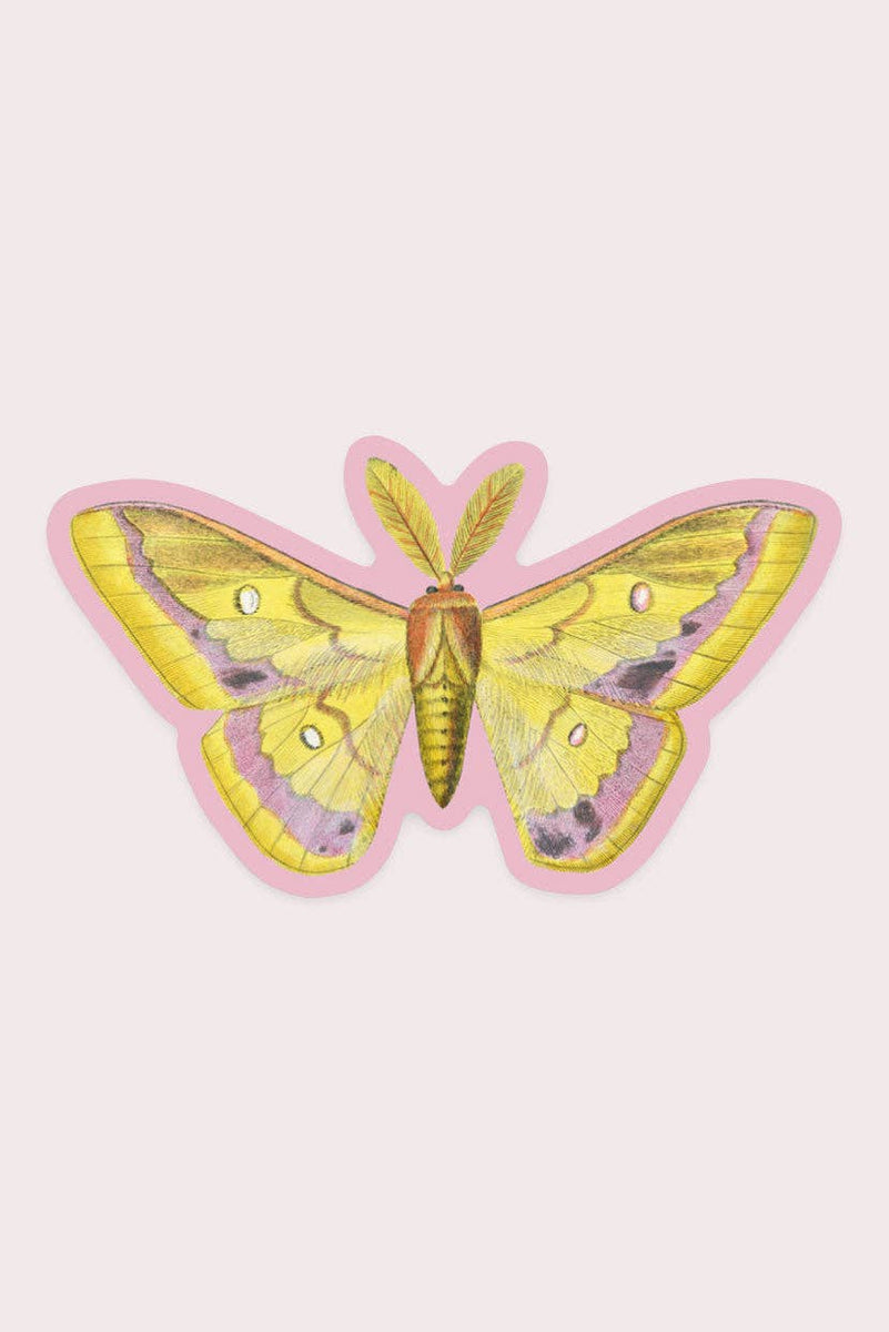 Splendid Sticker Splendid Moth Sticker – Blossom and Tempest