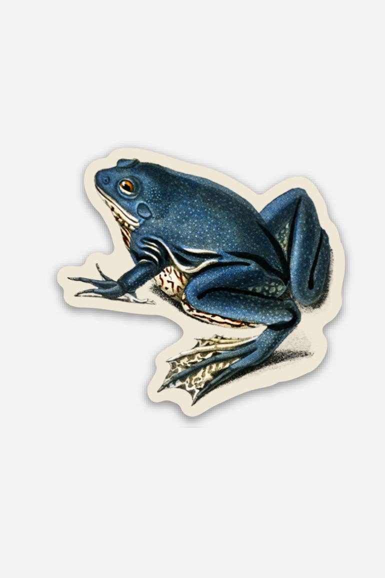 Exasperated Frog Sticker – Blossom and Tempest