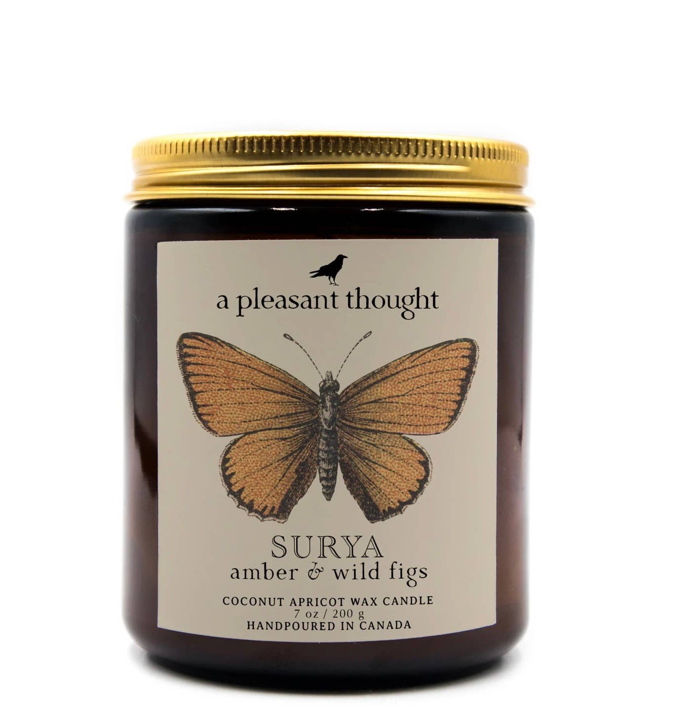 A Pleasant Thought - SURYA | AMBER & WILD FIGS | JAR CANDLE: Wood