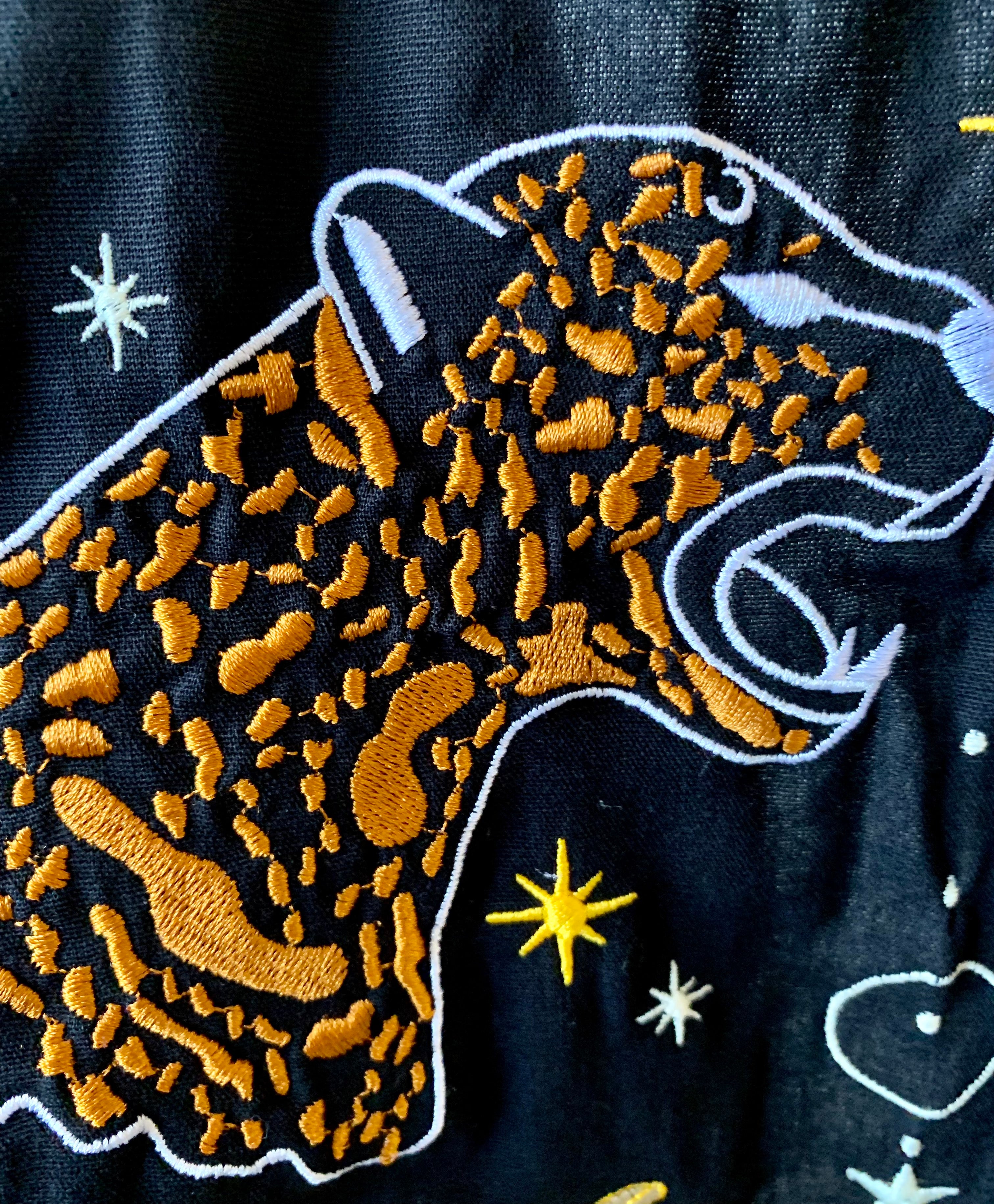 Kimono Jaguar