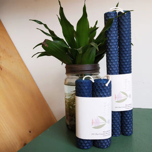 Stone Tulip - The "Blueberry" Beeswax Collection