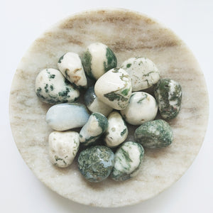 Tumbled Tree Agate (1 pce)
