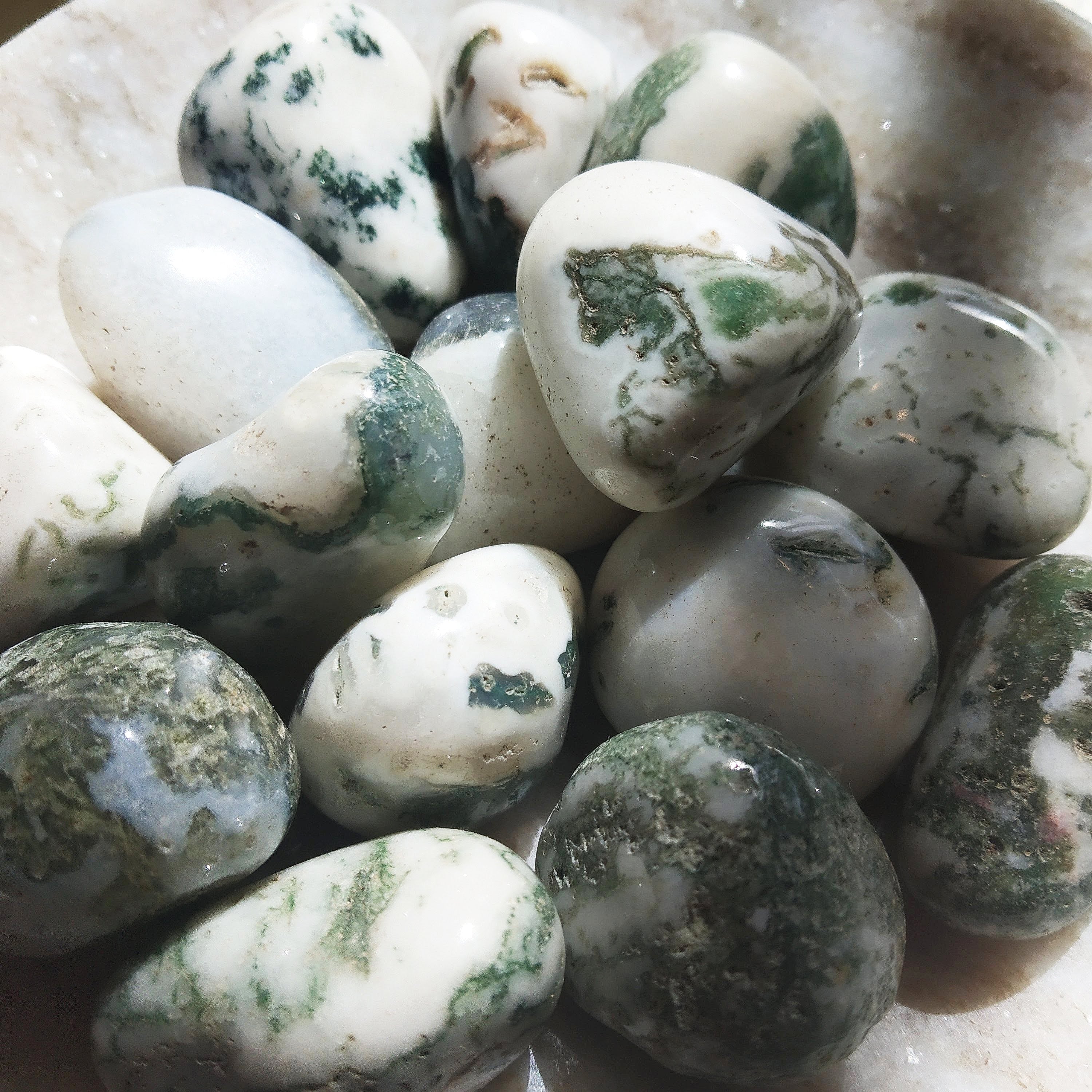Tumbled Tree Agate (1 pce)