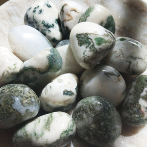 Tumbled Tree Agate (1 pce)