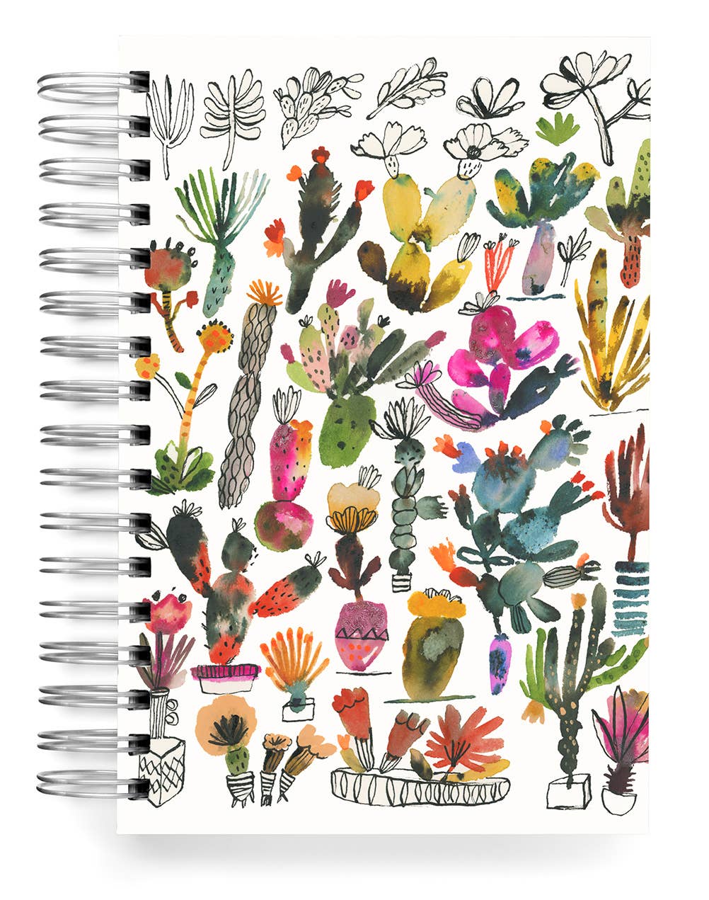 Succulent Botanical Journal