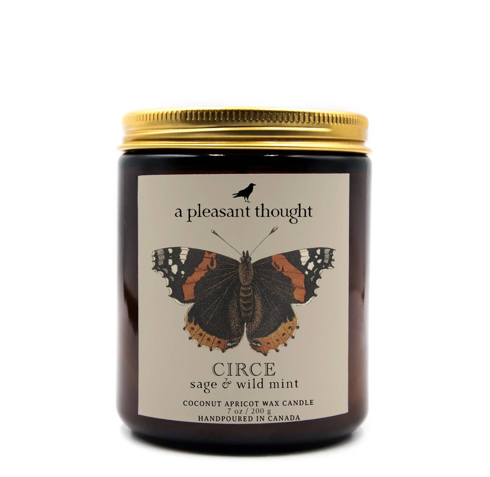 A Pleasant Thought - CIRCE | SAGE & WILD MINT | JAR CANDLE: Wood